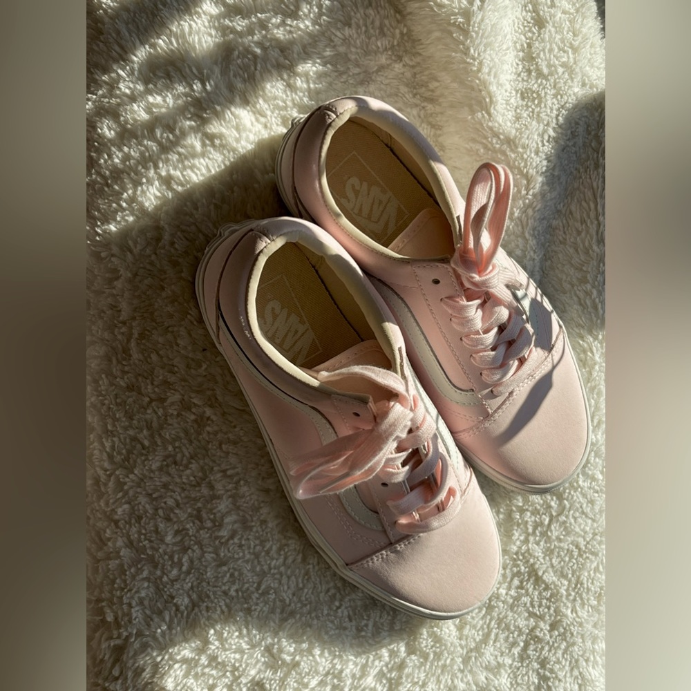 VANSBUCK OLD SKOOL